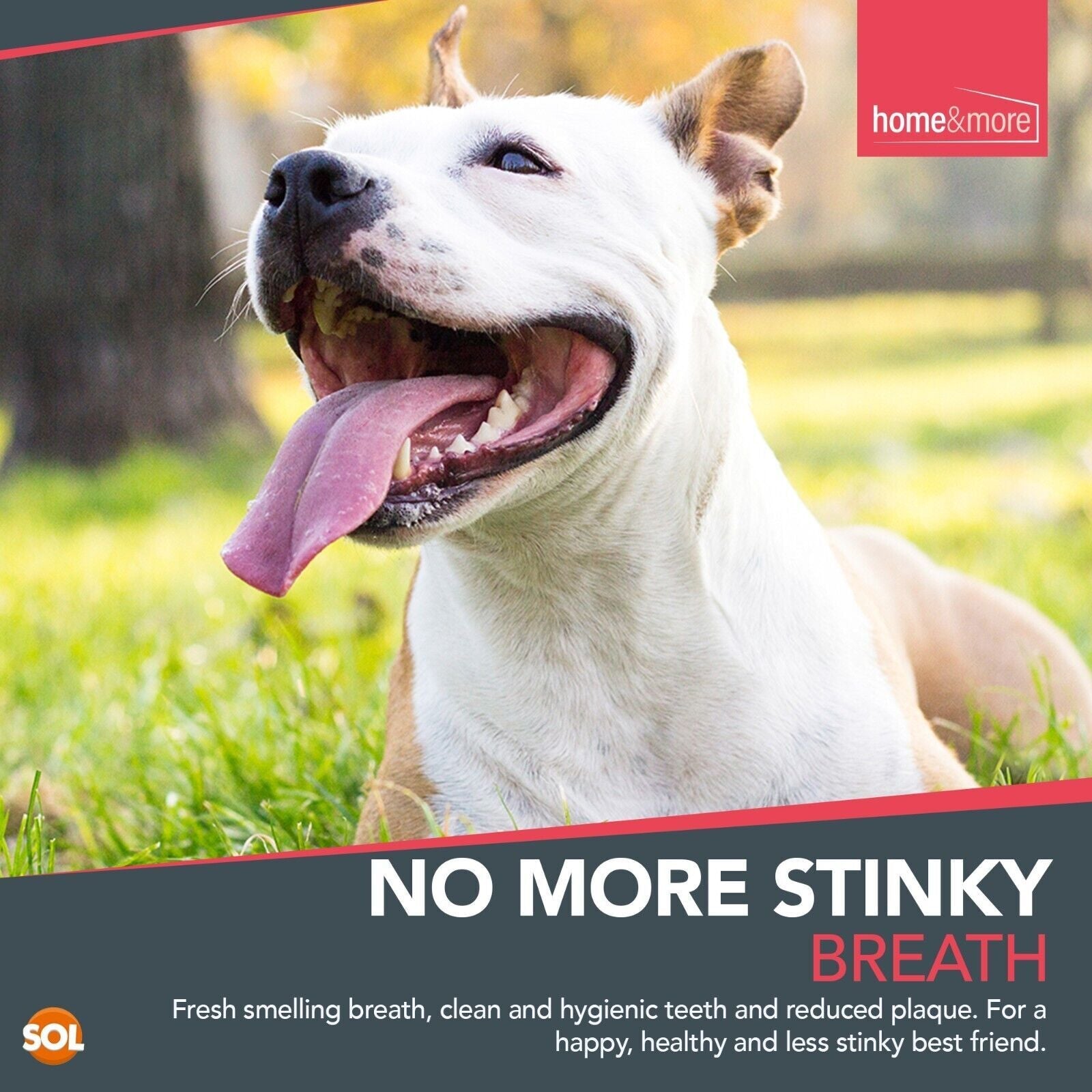 Double-Ended Dog Toothbrush Finger for Gentle Pet Dental Care - Soft Brush for Cats and Dogs