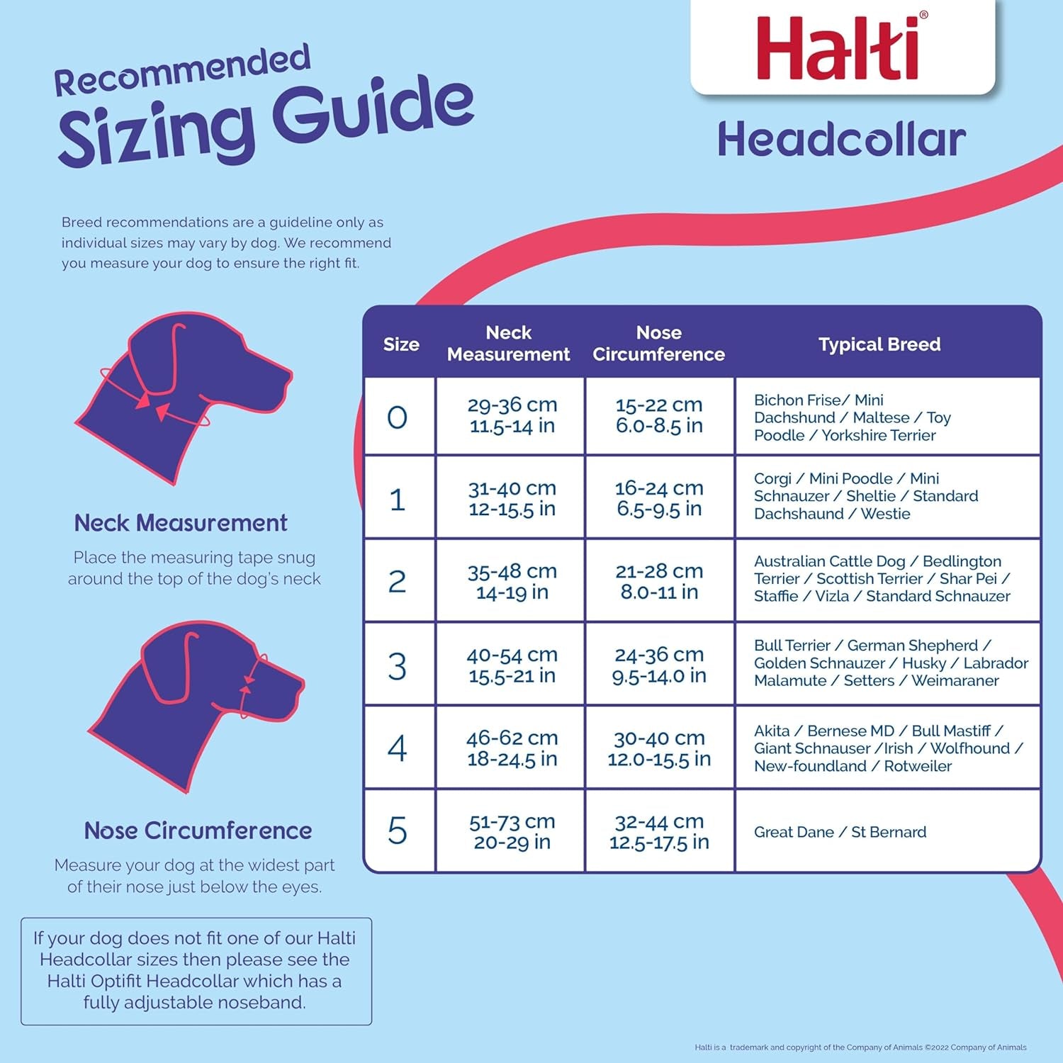 HALTI Headcollar Size 3 - Black | Bestselling Anti-Pull Training Aid for Medium Dogs | Padded, Adjustable & Reflective for Ultimate Comfort and Control