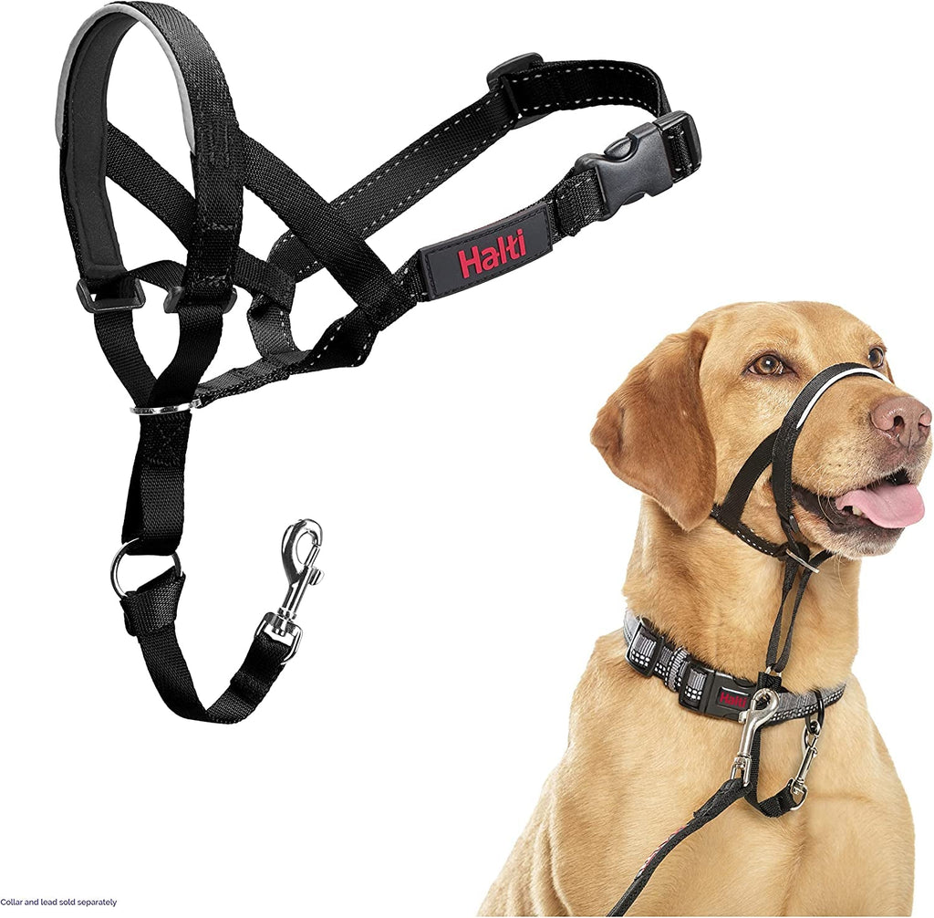 HALTI Headcollar Size 3 - Black | Bestselling Anti-Pull Training Aid for Medium Dogs | Padded, Adjustable & Reflective for Ultimate Comfort and Control