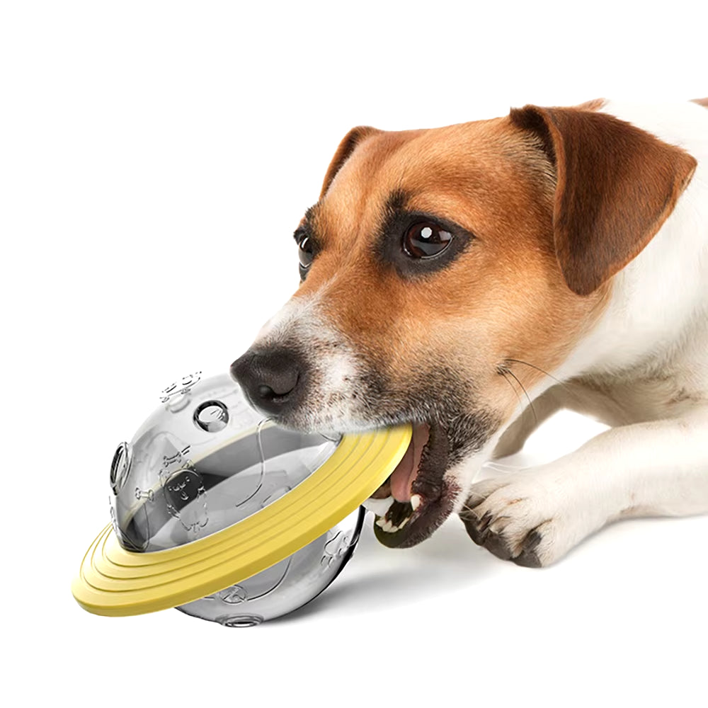 Interactive Treat Ball Feeder for Dogs and Cats - Fun Puzzle Toy for Engaging Playtime!
