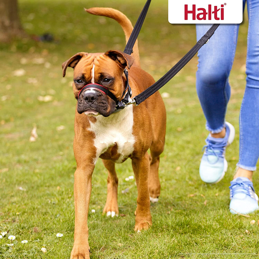 HALTI Optifit Medium Headcollar - Adjustable Reflective Dog Harness for Ultimate Lead Control and Anti-Pull Training - Stylish Black Design