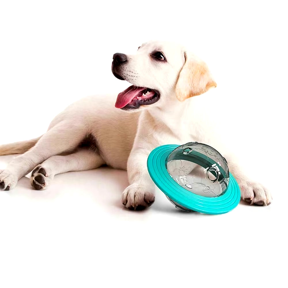 Interactive Treat Ball Feeder for Dogs and Cats - Fun Puzzle Toy for Engaging Playtime!