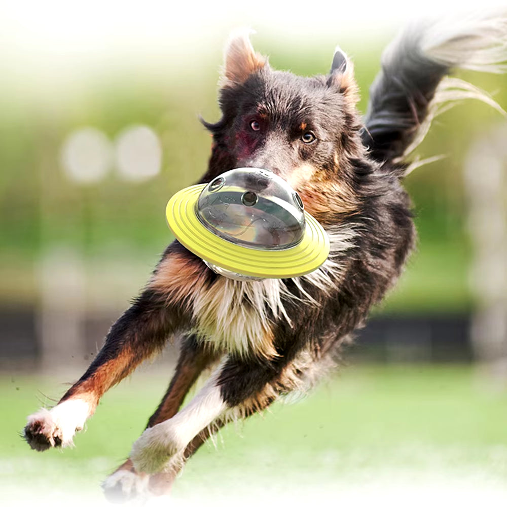 Interactive Treat Ball Feeder for Dogs and Cats - Fun Puzzle Toy for Engaging Playtime!